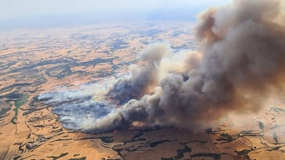 El fuego en la comarca de la Segarra ha afectado 6.500 hectáreas.
