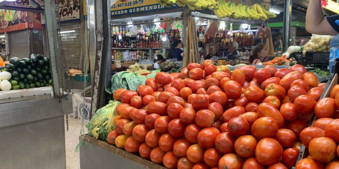 mercado-garmendia-venta-de-tomate