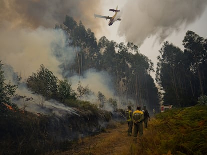Incendios forestales
