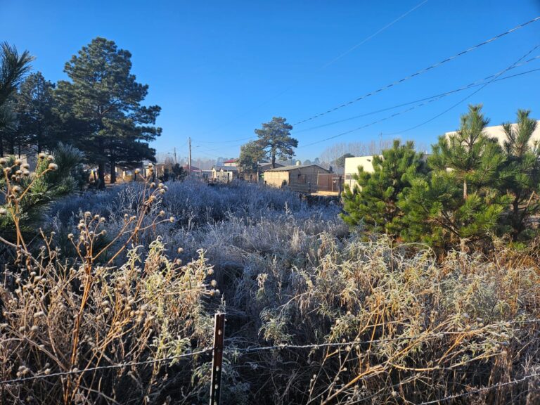 WhatsApp20Image202026-01-1420at209.36