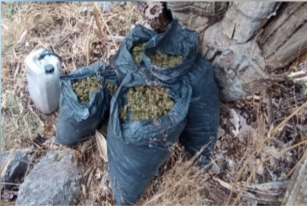 captura-de-pantalla-2026-01-25-162255