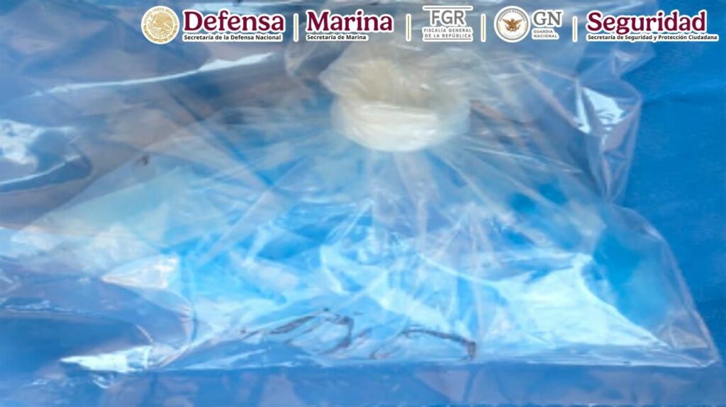 Detienen en Acapulco a dos personas vinculadas a un grupo delictivo - detienen-en-acapulco-a-dos-personas-vinculadas-a-un-grupo-delictivo-3-1024x574