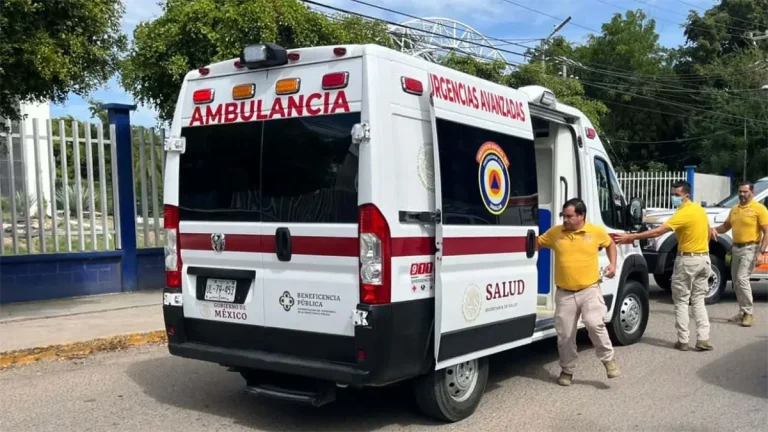 abejas-d09601ab-focus-0-0-1200-675