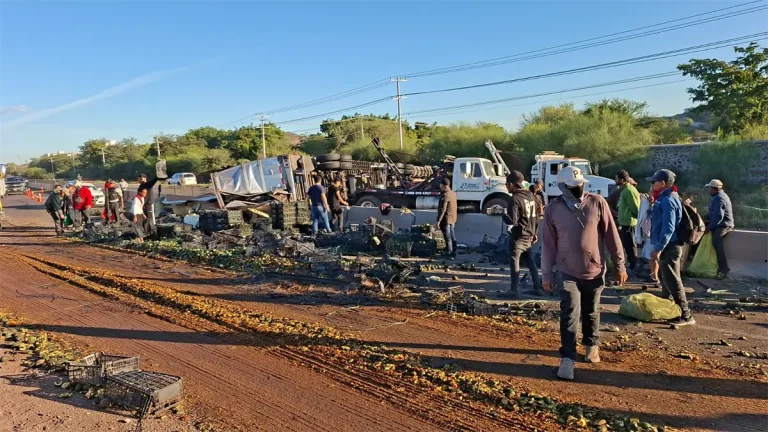 aguacates-1-ba55339b-focus-0-0-1200-675