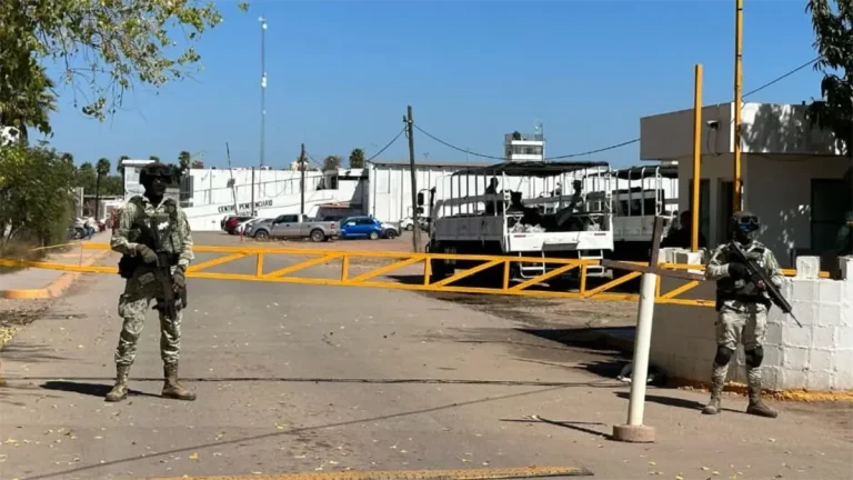 cateo-9-45f5da02-focus-0-0-1200-675