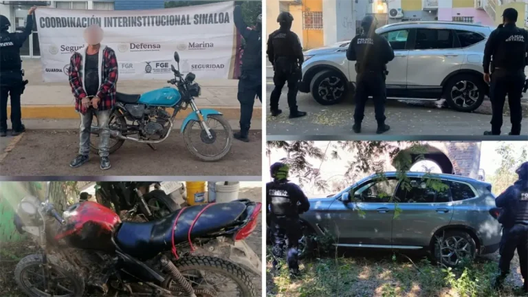 diseno-sin-titulo-14-1ca22442-focus-0-0-1200-675