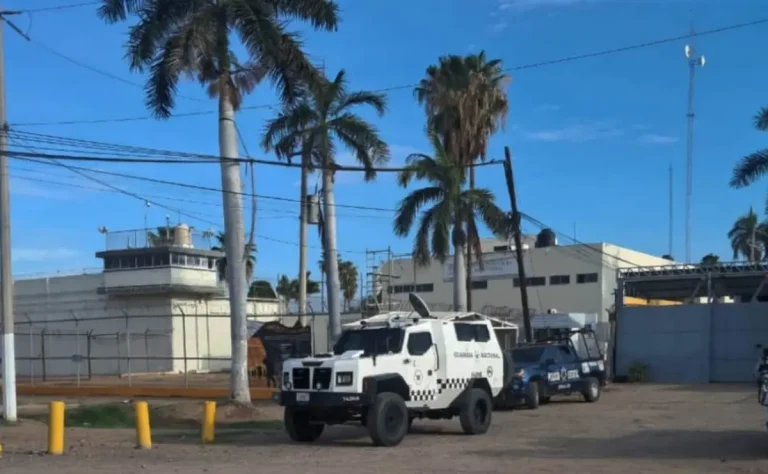 whatsapp-image-2025-07-11-at-54912-am-2-1fa3155f-1-edeaa9bb-focus-0-0-1200-675