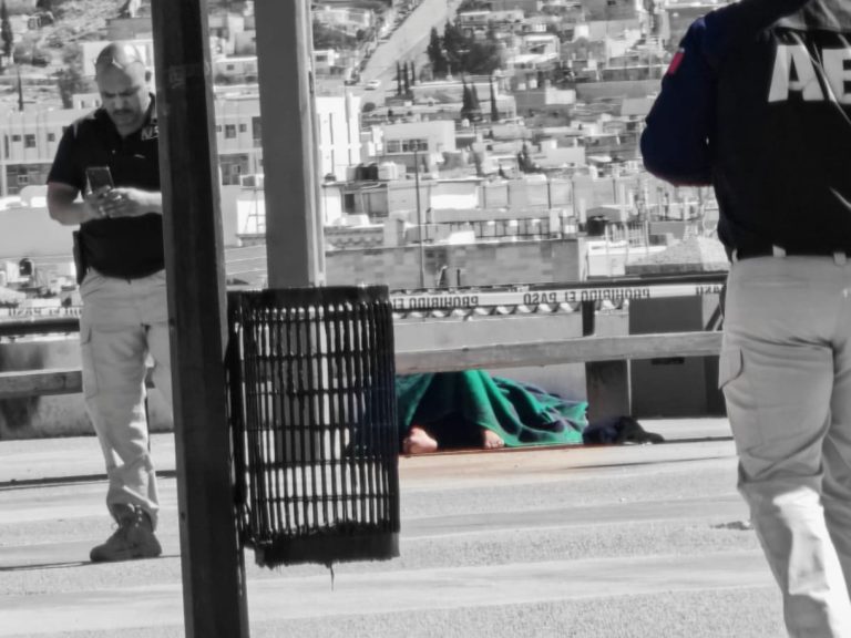 whatsapp-image-2026-02-10-at-1-22-40-pm