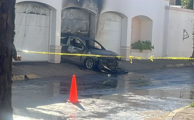 whatsapp-image-2026-02-11-at-85316-am-1-41f0927b-focus-0-0-1200-675