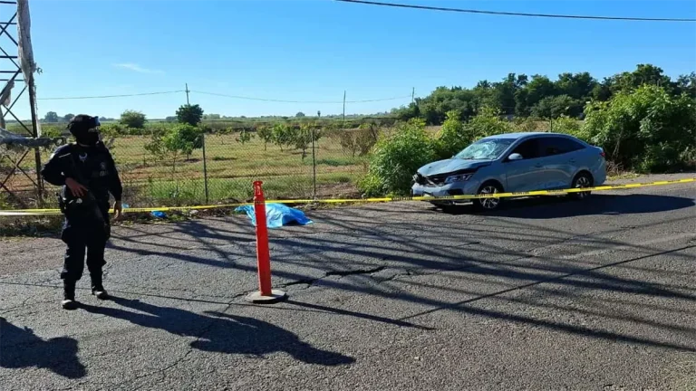 whatsapp-image-2026-02-17-at-95206-am-e47429ee-focus-0-0-1200-675