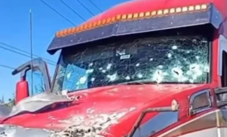 whatsapp-image-2026-02-18-at-83851-am-cdfc80da-focus-0-0-1200-675