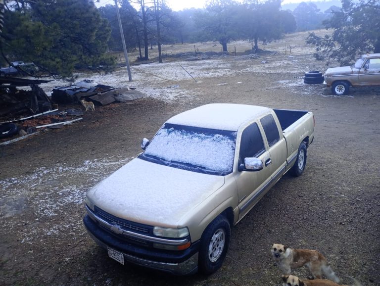 whatsapp20image202026-02-1020at208-32-1620am