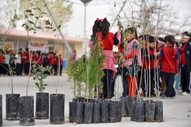 whatsapp20image202026-02-1420at209-52-4120am2028229