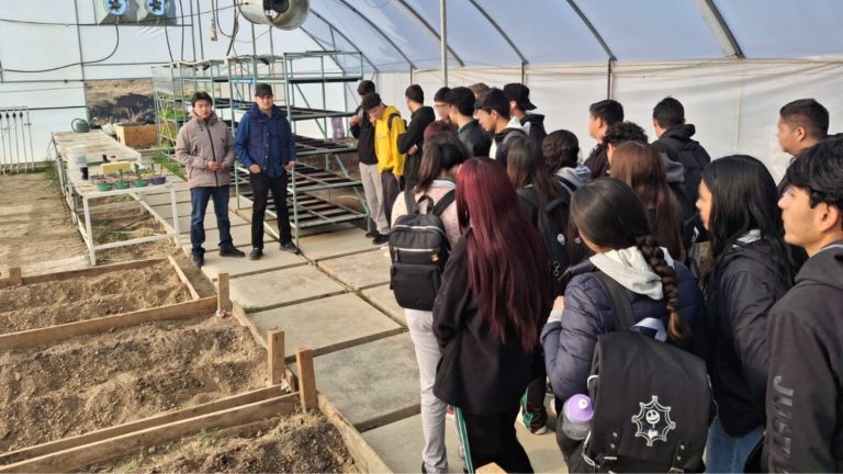 00620open20house20-20ilustracic3b3n201