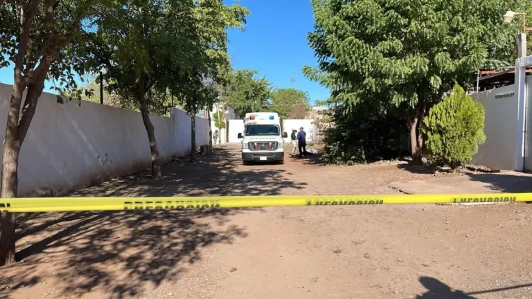 1-1-9502577f-focus-0-0-1200-675