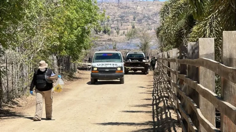 1-1-e8a0f3a0-focus-0-0-1200-675