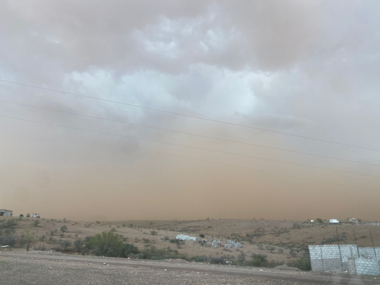 1698e030-0133-4597-8c78-cae69b9a6a84