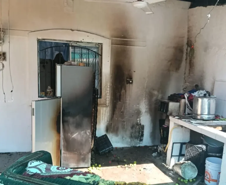 3-1-050cb333-focus-0-0-1200-675