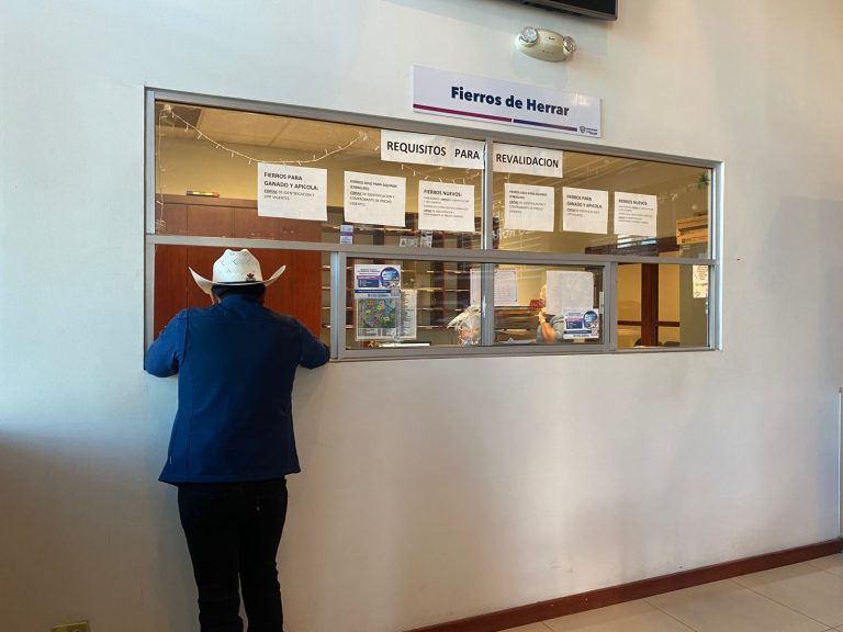 6f393cc8-e266-46ae-90ee-bd65e5f2d5e0