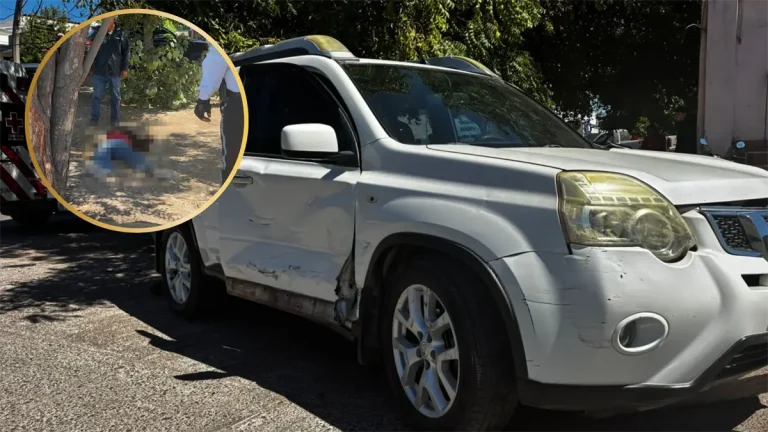 atropellada-3-13b89b82-focus-0-0-1200-675