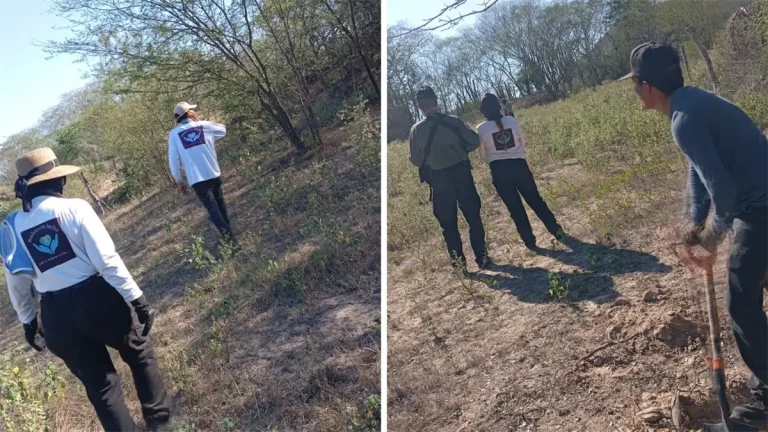 diseno-sin-titulo-8-8e0bb874-focus-0-0-1200-675