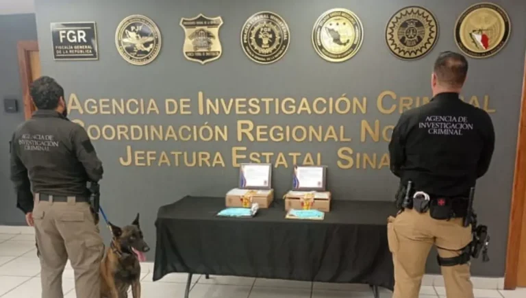 fentanilo-2-1a56891e-focus-0-0-1200-675