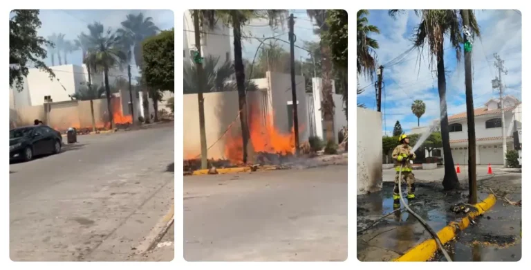 gato-se-electrocuta-2a0b720b-focus-min0-03-0-43-1200-675