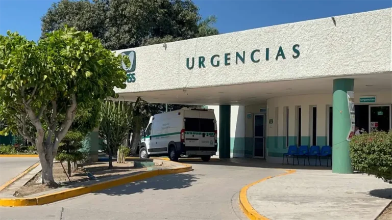 mina-96ebd8bd-focus-0-0-1200-675