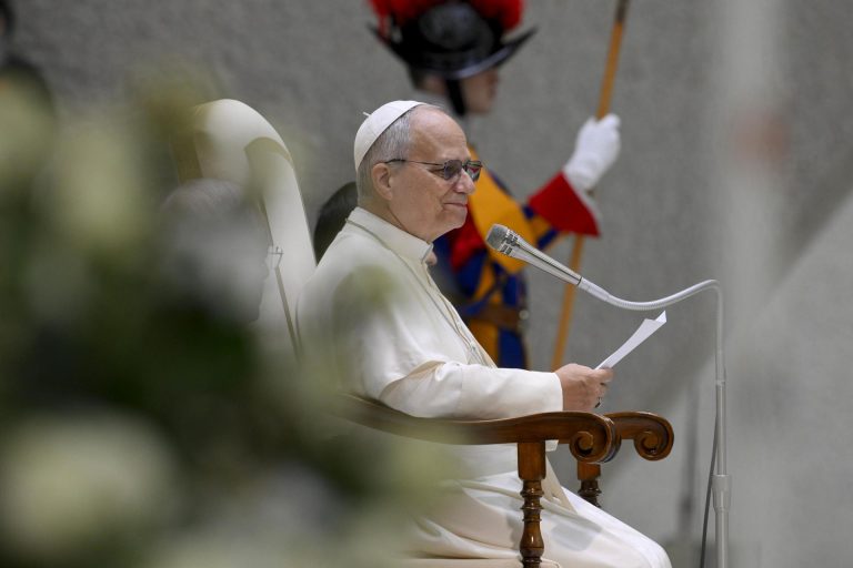 papa-leon-xiv-audiencia-general-11feb26