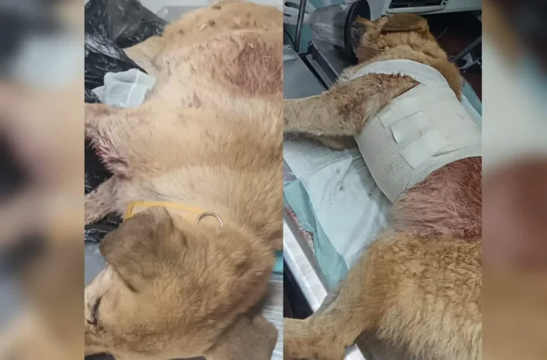 portada-1-eb0b504e-focus-0-0-1200-675