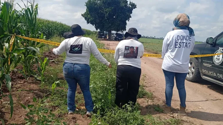 rastreadoras-navolato-f24f8e8a-focus-0-0-1200-675