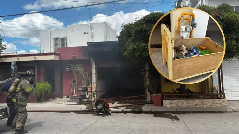 rescate-4-1f9d52c7-focus-0-0-1200-675