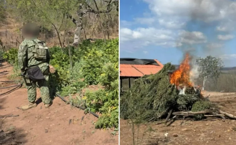 sin-titulo-18-20d2a71e-focus-0-0-1200-675