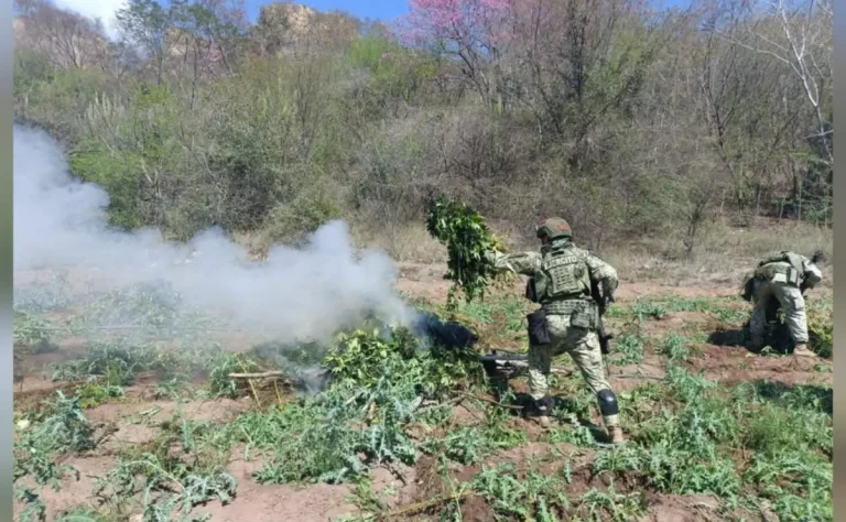 whatsapp-image-2026-03-05-at-104639-am-3-90a06f3d-focus-0-0-1200-675