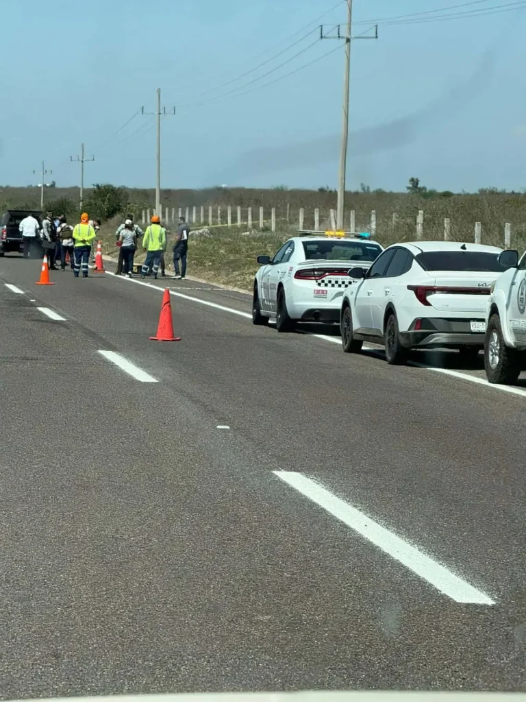 whatsapp-image-2026-03-06-at-122720-pm-12655a48-focus-0-0-1200-675