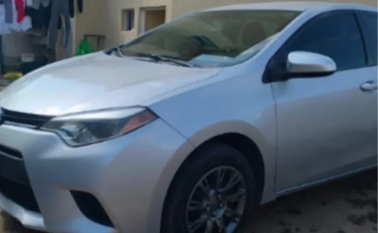 whatsapp-image-2026-03-24-at-82619-am-f7e502cb-focus-0-0-1200-675