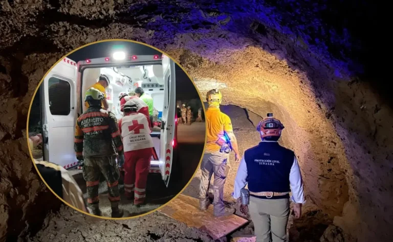 whatsapp-image-2026-03-28-at-71436-pm-3-1-670e1259-focus-0-0-1200-675