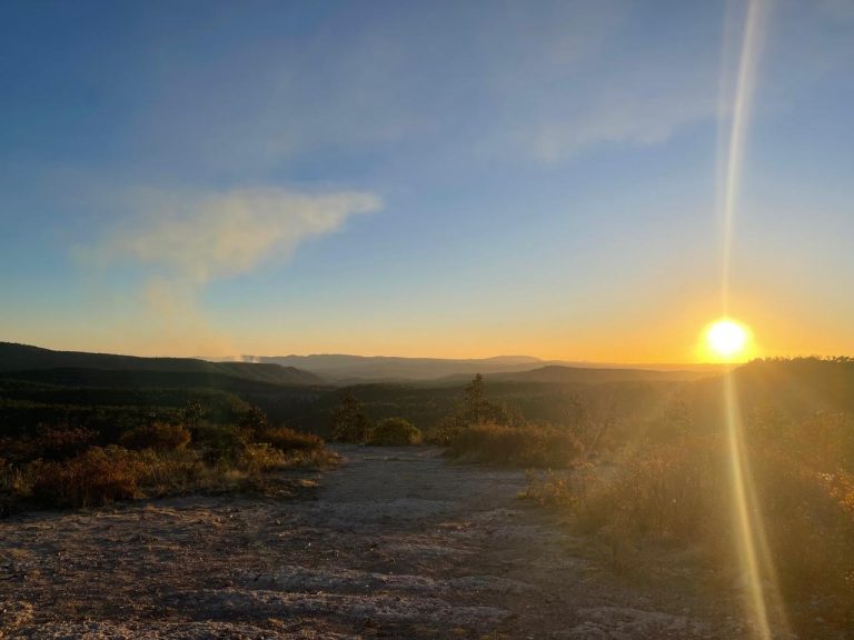 whatsapp20image202024-04-2020at2010-39-5320am2028429-2