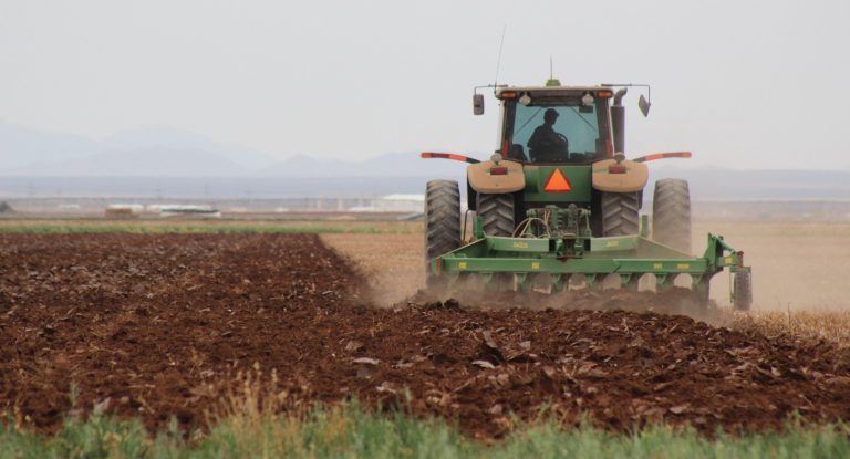 whatsapp20image202026-03-0320at2012-07-3620pm