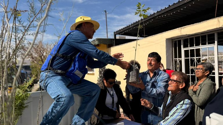 whatsapp20image202026-03-1020at201-47-3820pm