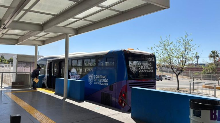 whatsapp20image202026-03-2620at2010-13-0920am2028129