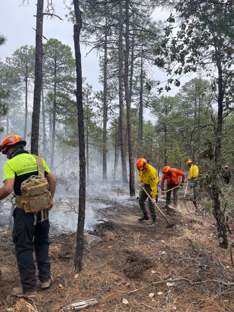 36c77b77-a851-462a-8992-814a0fa107fb