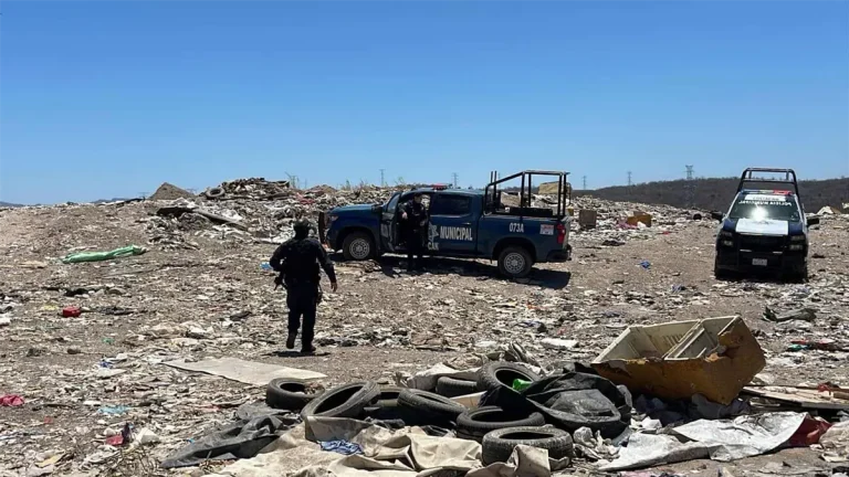 62c12696f4ba2aad07696b911e664653-bf0d0298-focus-0-0-1200-675