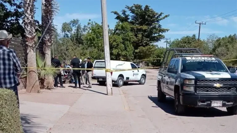 726f8b3f-8a4b-4704-9dee-5668a47ce821-ed748d3e-focus-0-0-1200-675