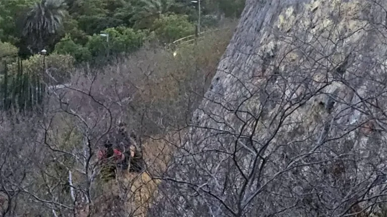 7c238d29-8c7b-406a-a7bc-6968f89b77f5-1c24a79c-focus-0-0-1200-675