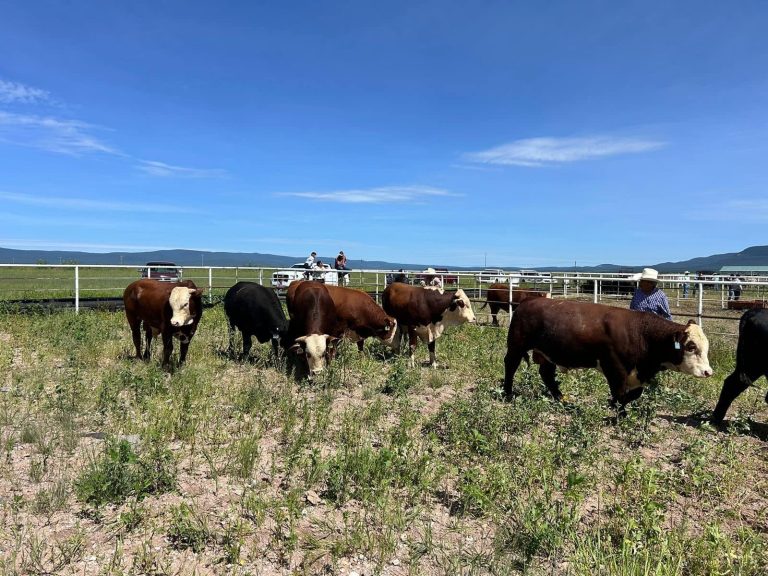 8ff3a441-9c04-4d57-a39c-87aea9c16e09