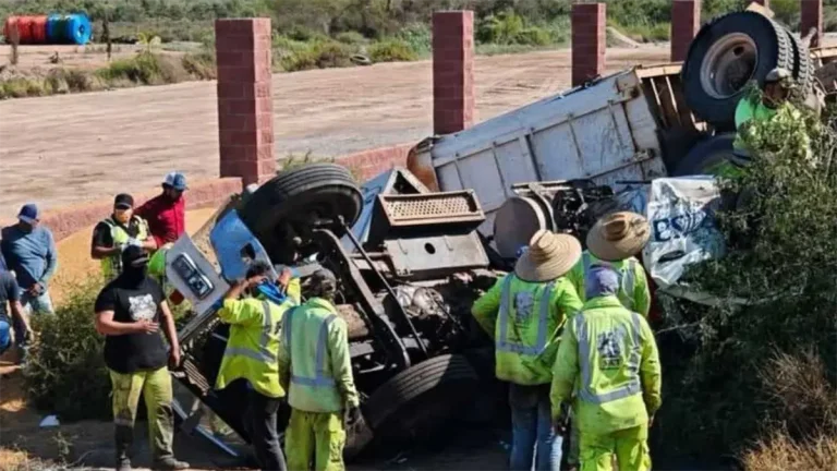 carambola-d36f7a93-focus-0-0-1200-675