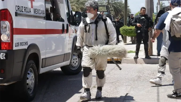 chapo-94d7ac13-focus-0-0-1200-675