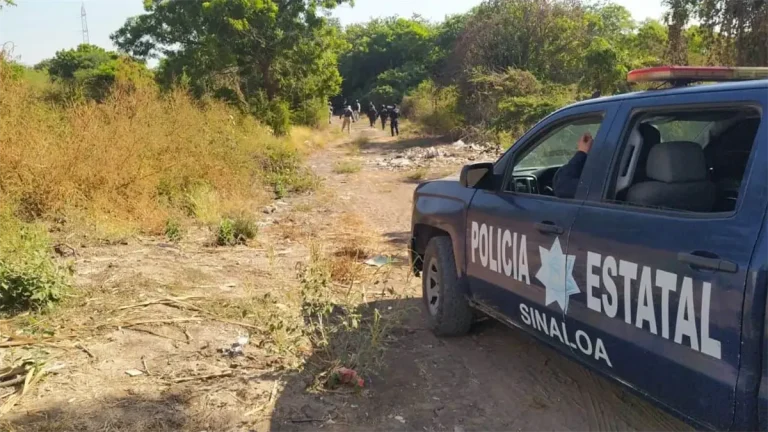 diseno-sin-titulo-14-57614c50-focus-0-0-1200-675