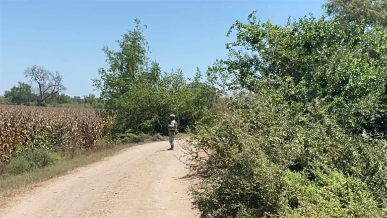 ejercito-mexicano-despliega-operativos-en-guasave-con-patrullajes-activos-ed86a6d6-focus-0-0-1200-675